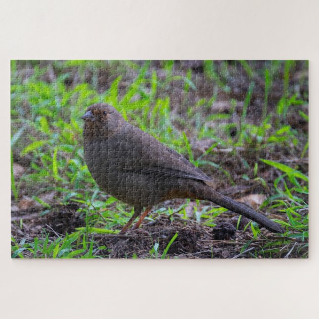 California Towhee Jigsaw Puzzle (Horizontal)