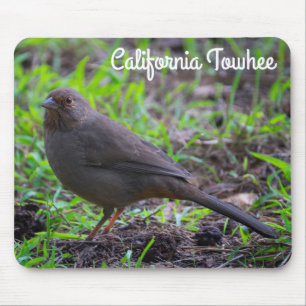 California Towhee Mouse Pad