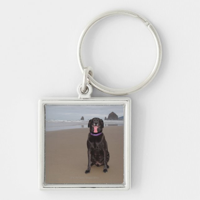 California, USA Key Ring (Front)
