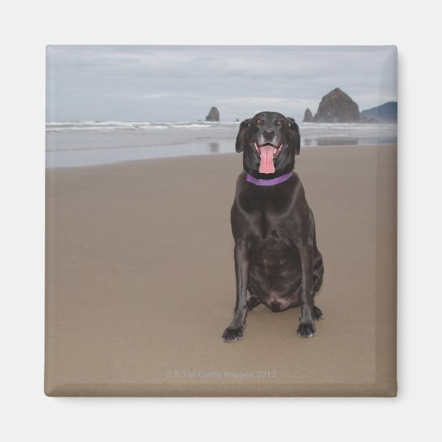 California, USA Magnet (Front)