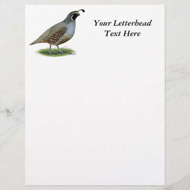 California Valley Quail (Front)