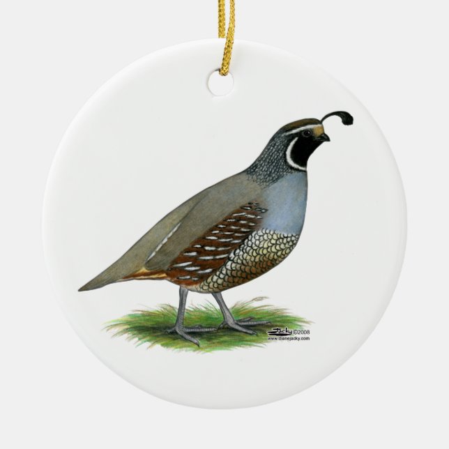 California Valley Quail Ceramic Ornament (Front)