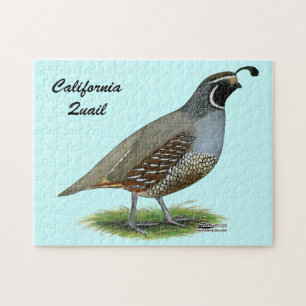 California Valley Quail Jigsaw Puzzle