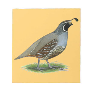 California Valley Quail Notepad