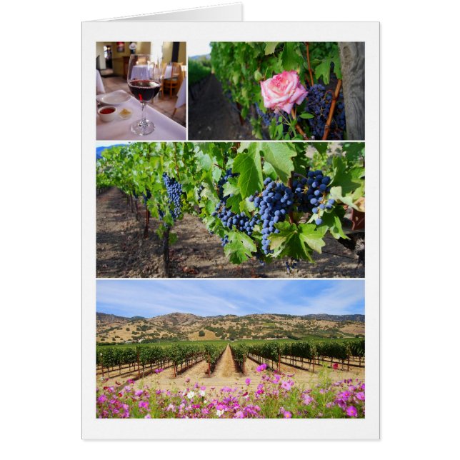 California Vineyard Collage (Front)