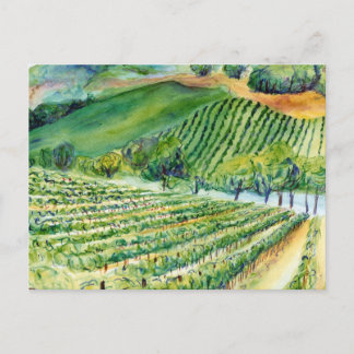 California Vineyard Postcard