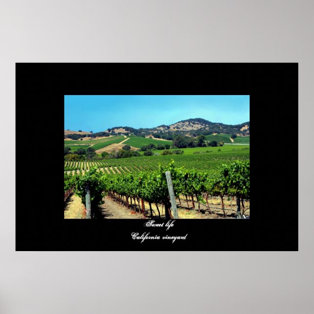 "California vineyard" poster (Front)