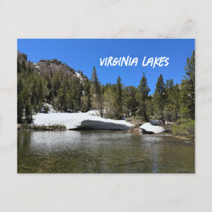 California Virginia Lakes Landscape Postcard