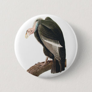 California Vulture (Condor), Audubon Fine Art 6 Cm Round Badge