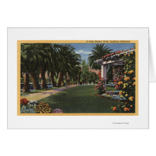 CaliforniaA Palm Shaded Walk