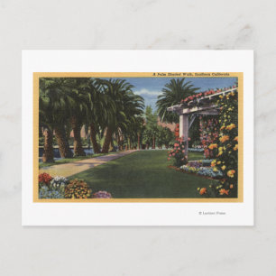 CaliforniaA Palm Shaded Walk Postcard
