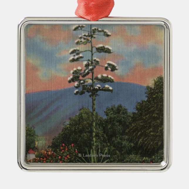 CaliforniaCentury Plant in Bloom Metal Ornament (Front)