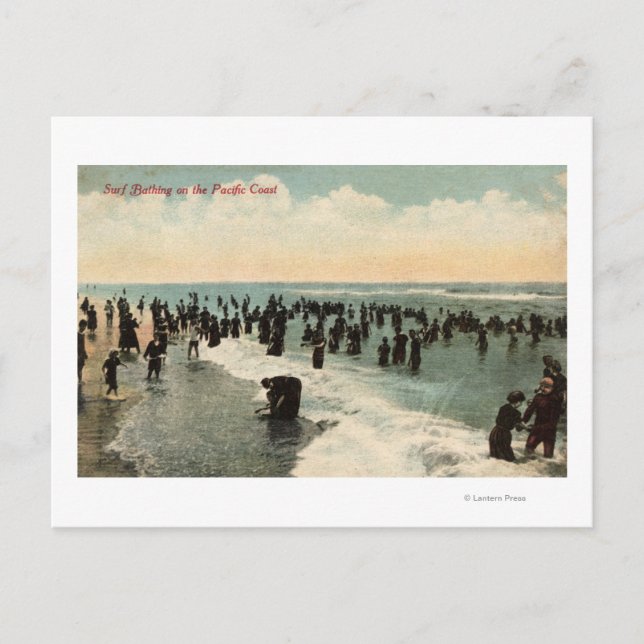 CaliforniaCrowds Swimming on the Pacific Coast Postcard (Front)