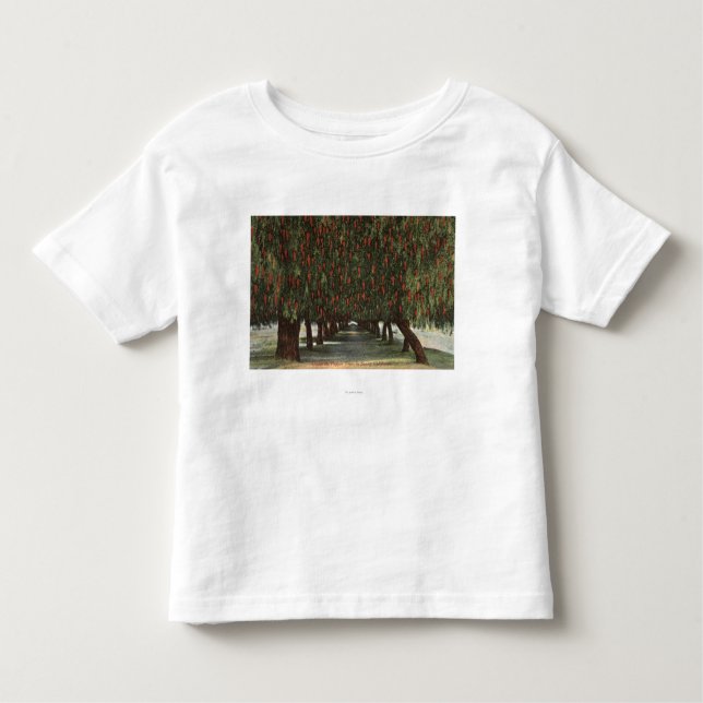 CaliforniaGroves of Pepper Trees Toddler T-Shirt (Front)