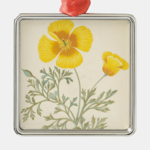 Californian Eschscholtzia Metal Ornament