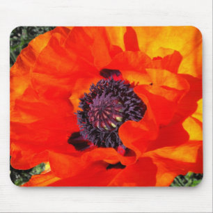 Californian Poppy Mouse Pad