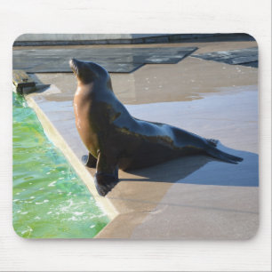 Californian sea lion mouse pad
