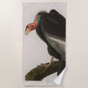 Californian Vulture Birds of America Audubon Print Beach Towel