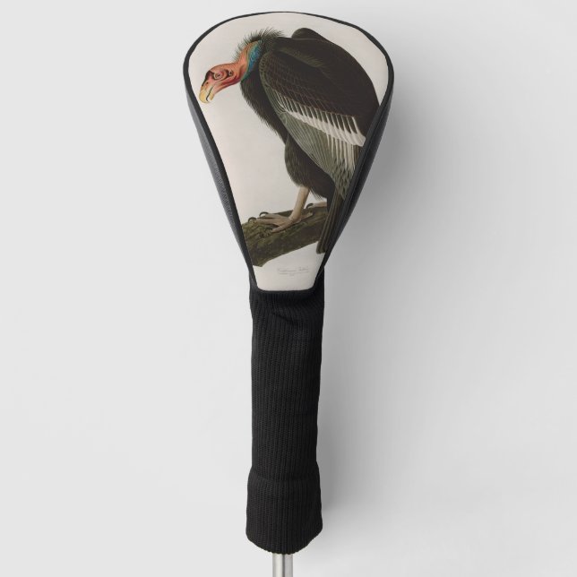 Californian Vulture Birds of America Audubon Print Golf Head Cover (Front)