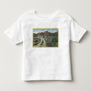 CaliforniaScenic Desert View of Residence Toddler T-Shirt