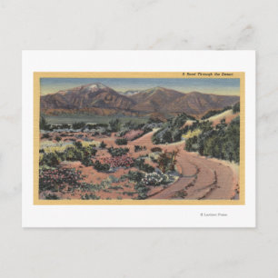 CaliforniaScenic Desert View Postcard