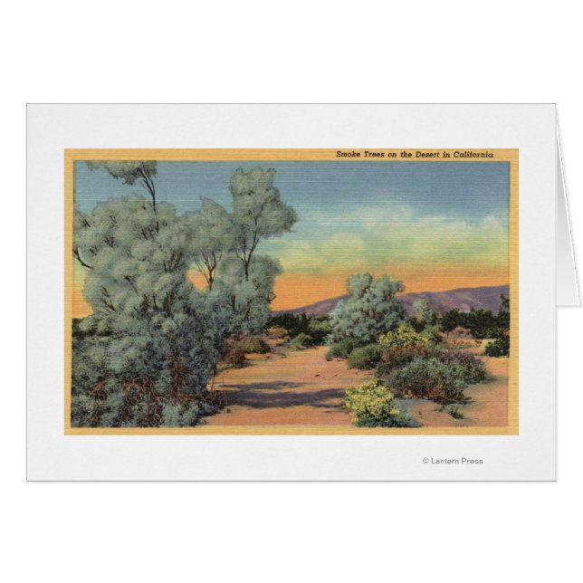 CaliforniaView of Smoke Trees in Desert (Front Horizontal)
