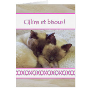Câlins et bisous, Hugs and kisses in French