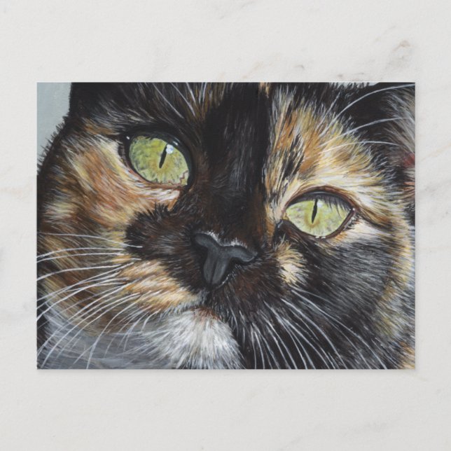 Cali's Stare Tortie Tortoiseshell Cat Painting Art Postcard (Front)