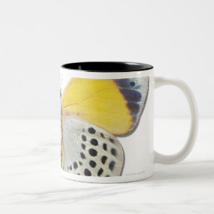 Calithea davisi Two-Tone coffee mug