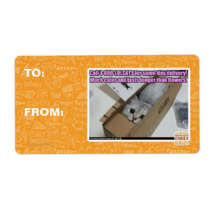 Call 1-800-LOLCATS