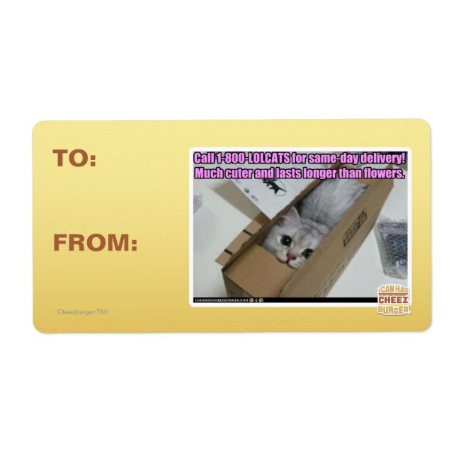 Call 1-800-LOLCATS (Front)