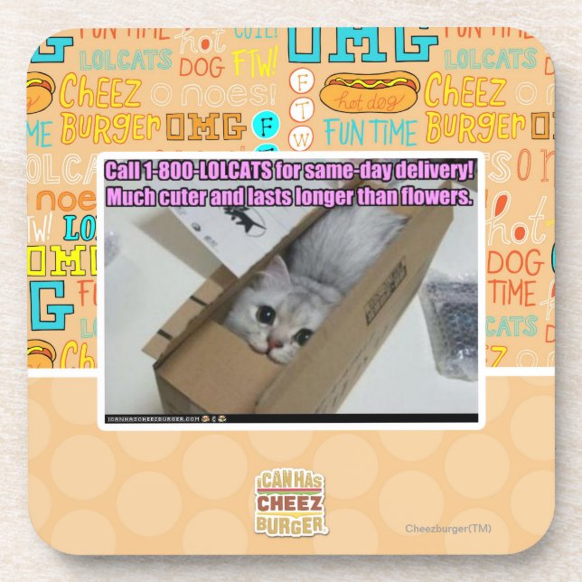 Call 1-800-LOLCATS Coaster (Front)