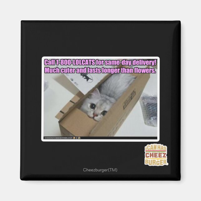 Call 1-800-LOLCATS Magnet (Front)