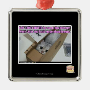 Call 1-800-LOLCATS Metal Ornament