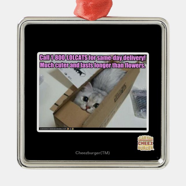 Call 1-800-LOLCATS Metal Ornament (Front)