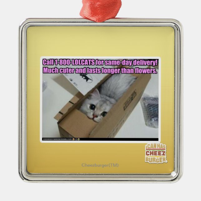 Call 1-800-LOLCATS Metal Ornament (Front)