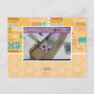 Call 1-800-LOLCATS Postcard