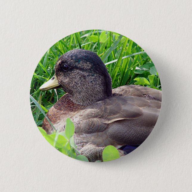 Call Duck Drake 6 Cm Round Badge (Front)