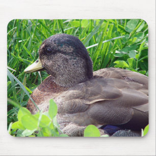 Call Duck Drake Mouse Pad