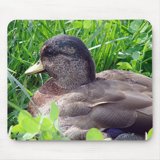 Call Duck Drake Mouse Pad (Front)