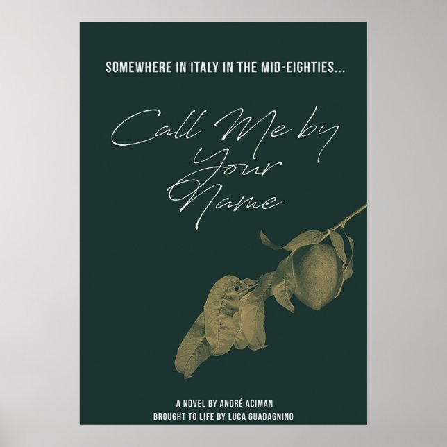 Call Me by Your Name 2 Poster (Front)