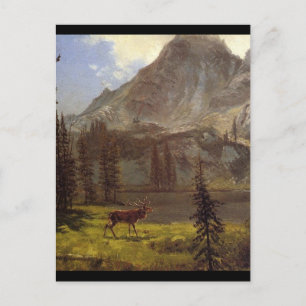 Call of the Wild - Albert Bierstadt Postcard