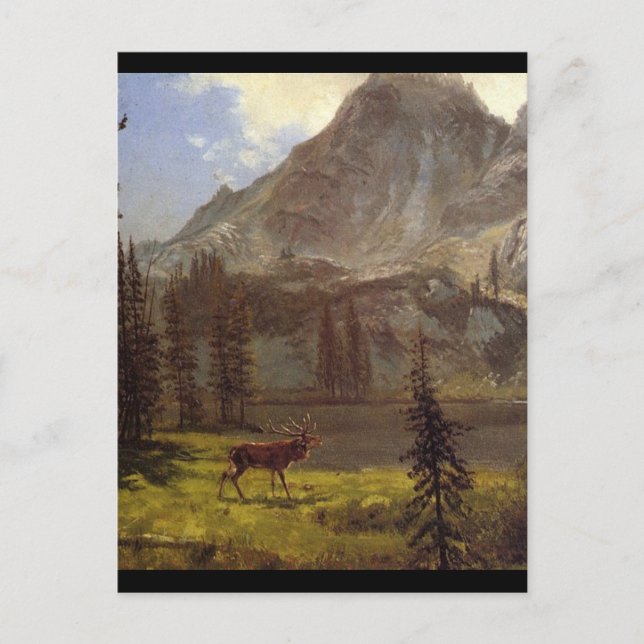 Call of the Wild - Albert Bierstadt Postcard (Front)
