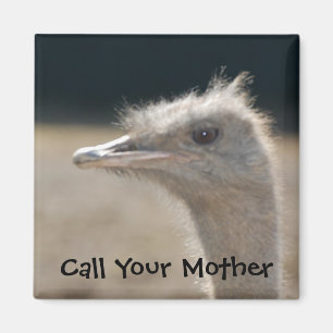 Call Your Mother - magnet