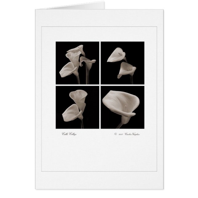 Calla_flowers_2010_Brochure (Front)