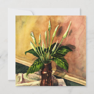 Calla lilies