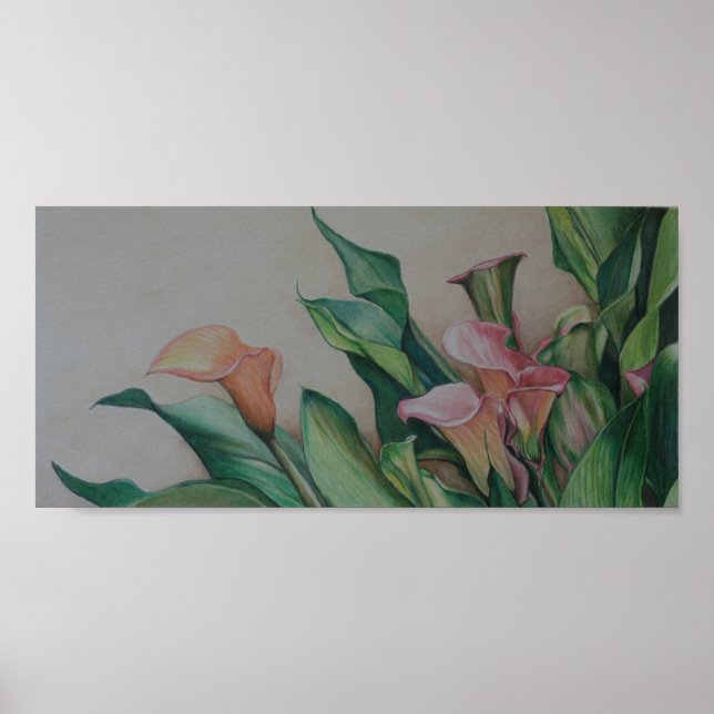 Calla Lilies Art Print (Front)