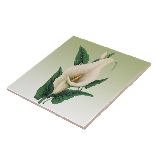 Calla Lilies Ceramic Tile (Side)