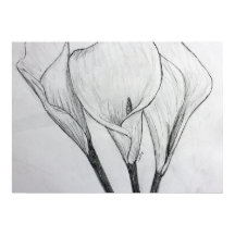 Calla Lilies Pencil Sketch Drawing Art Print
