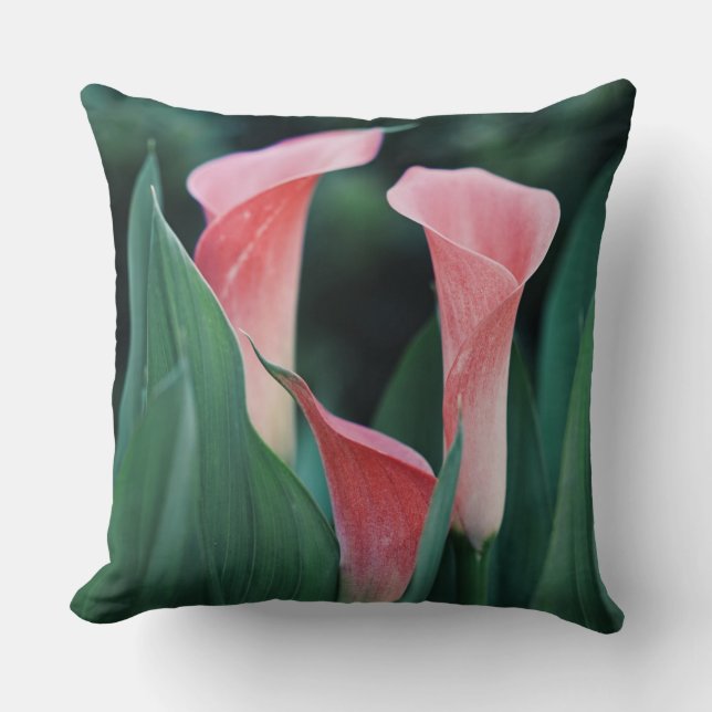 Calla Lilies Pink Flowers Cushion (Front)